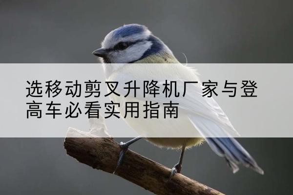 绛县电动升降机厂家-选移动剪叉升降机厂家与登高车必看实用指南