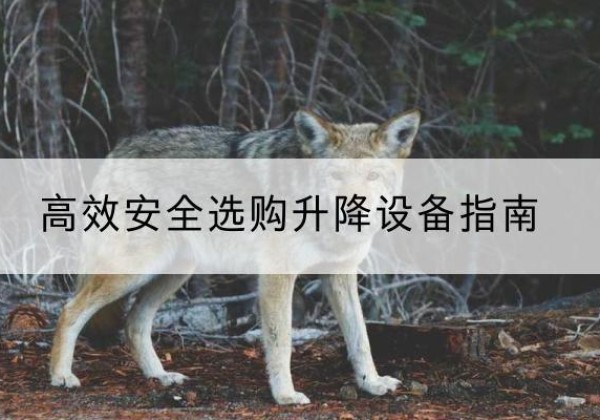 绛县升降货梯厂家推荐-*安全选购升降设备指南